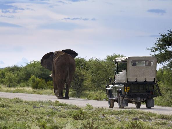 Villa Mushara - Game Drive2 